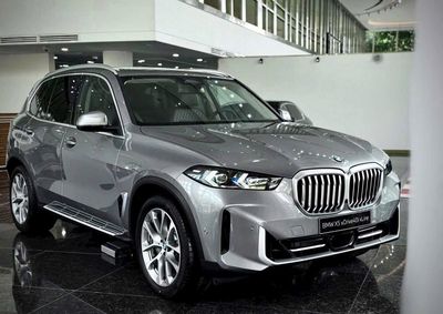 BMW X5 - ảnh 1