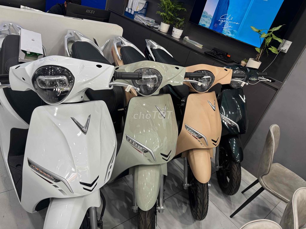 VinFast 2025 - ảnh 3
