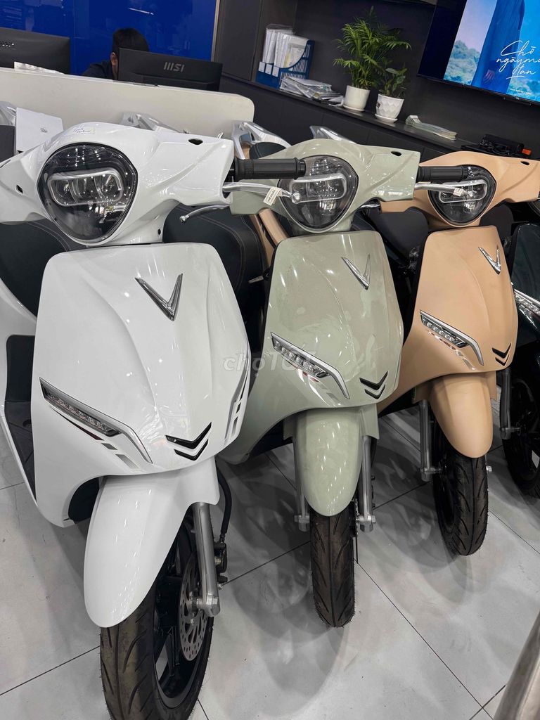 VinFast 2025 - ảnh 4