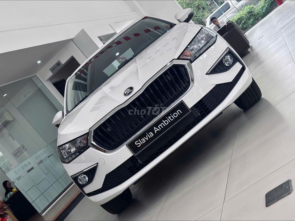 Skoda 2025 - ảnh 1