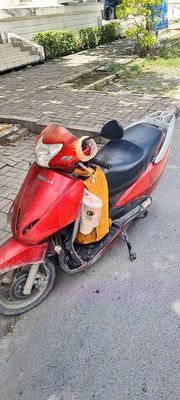 lead 2010 - ảnh 1
