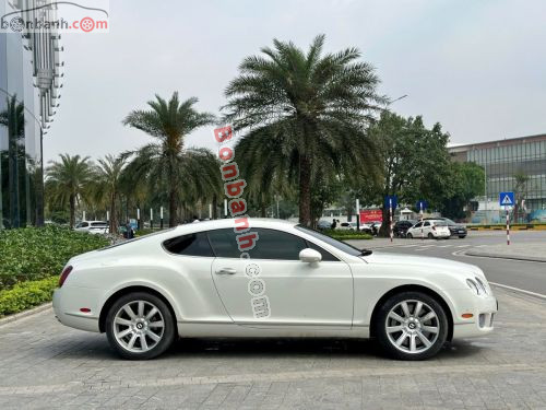 Bentley 2008 - ảnh 3