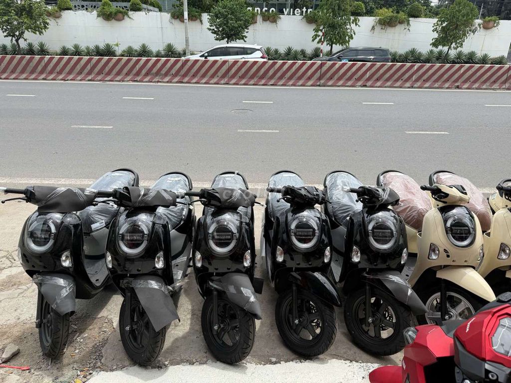 XE M 2026 - ảnh 4