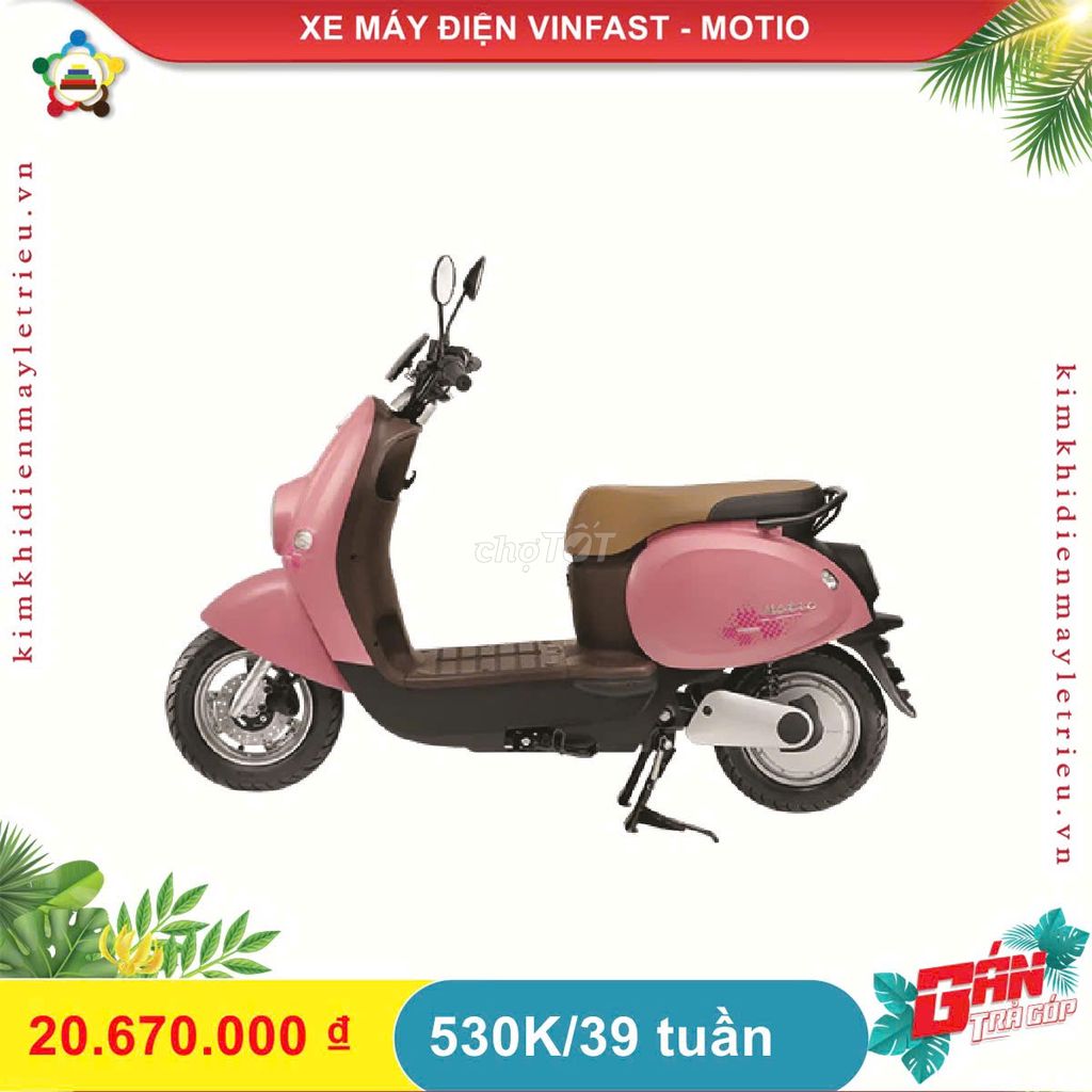 XE M 2025 - ảnh 1