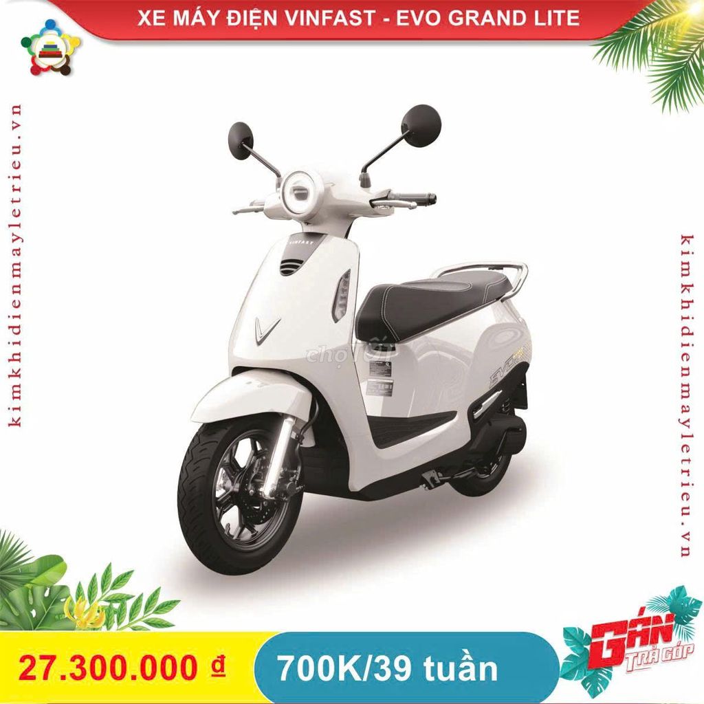 XE M 2025 - ảnh 2