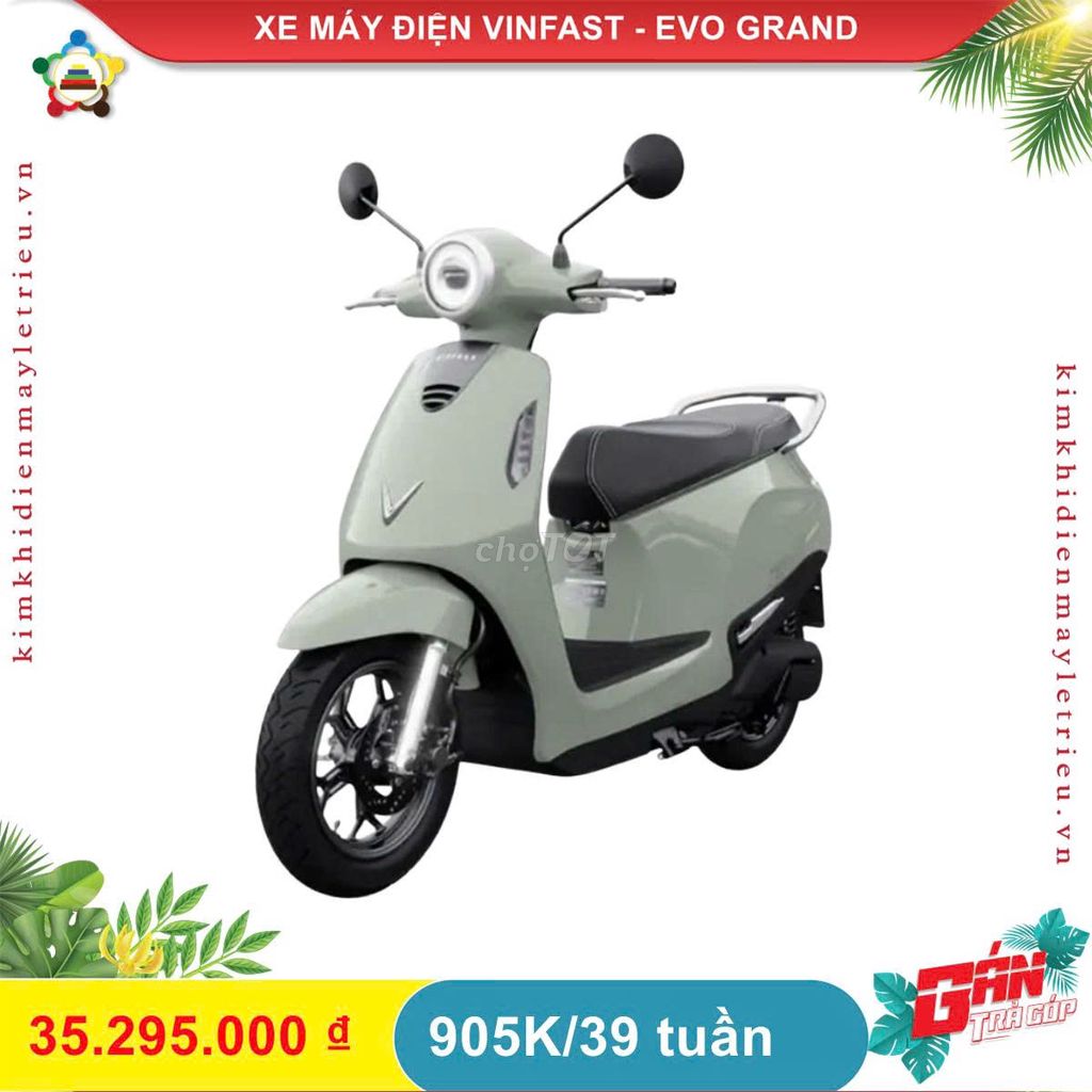 XE M 2025 - ảnh 3
