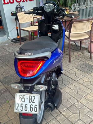 janus 2019 - ảnh 1