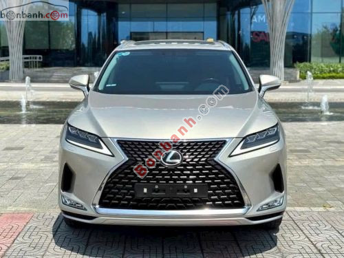 Lexus RX 300 2020 - ảnh 1