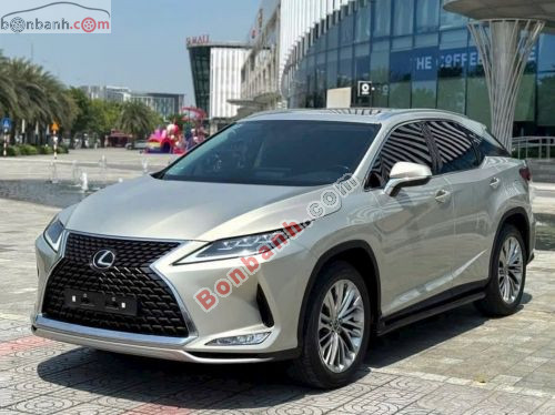 Lexus RX 300 2020 - ảnh 2