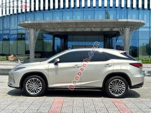 Lexus RX 300 2020 - ảnh 3