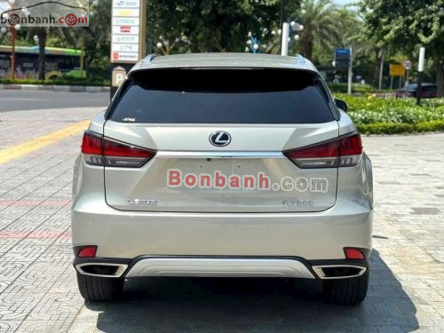 Lexus RX 300 2020 - ảnh 5