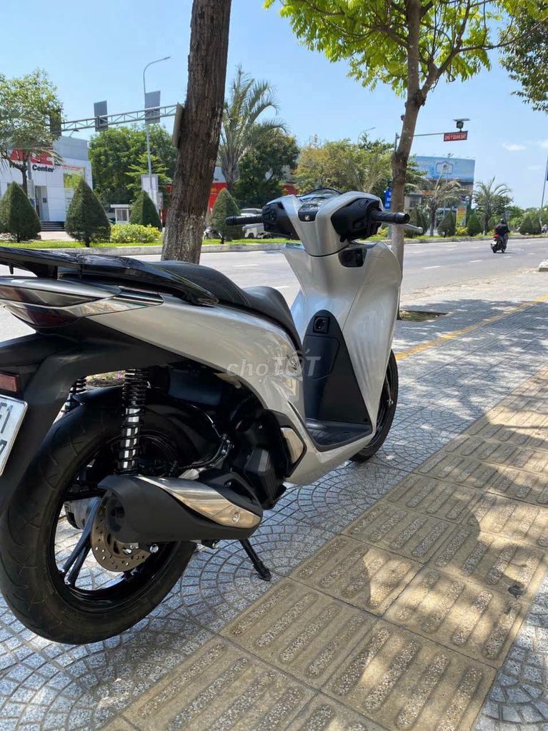SH 2020 - ảnh 5