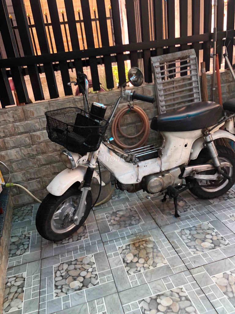 Honda Chaly 1980 - ảnh 1