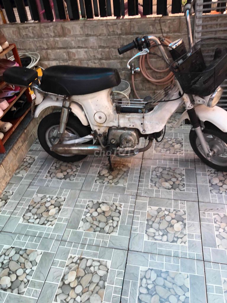 Honda Chaly 1980 - ảnh 3