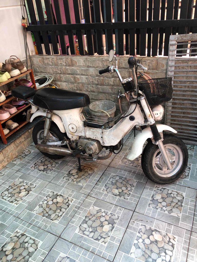 Honda Chaly 1980 - ảnh 4
