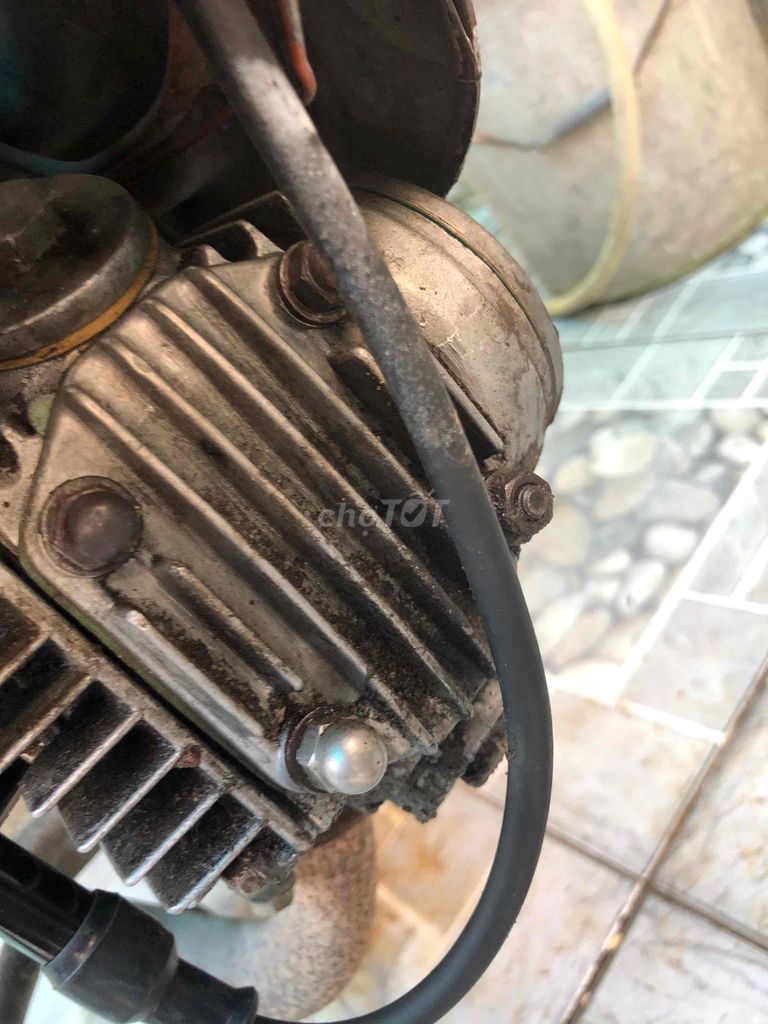 Honda Chaly 1980 - ảnh 5
