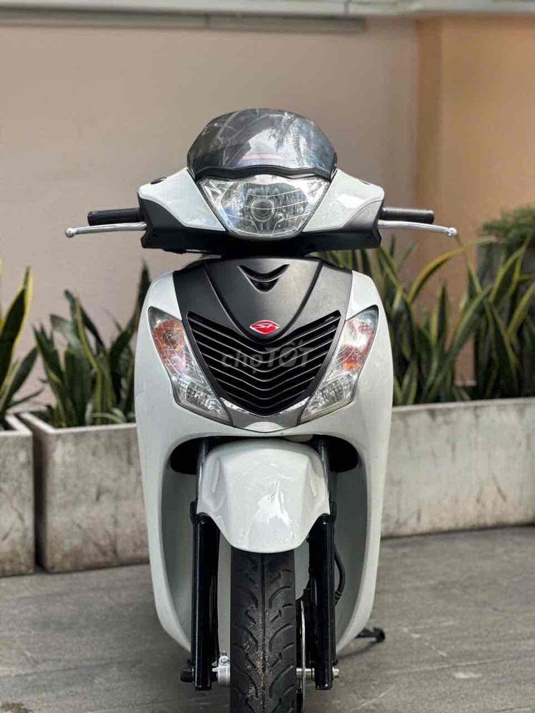 sh 2007 - ảnh 1