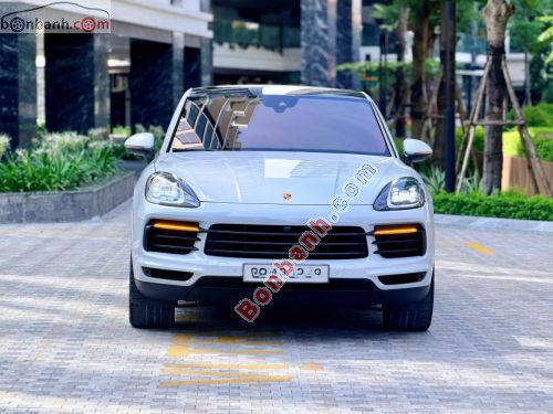 Porsche Cayenne 2022 - ảnh 1