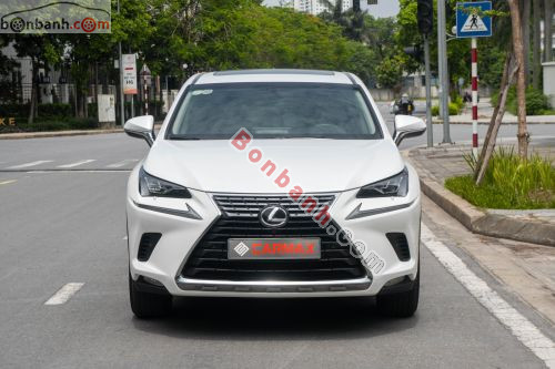 Lexus NX 300 2017 - ảnh 1