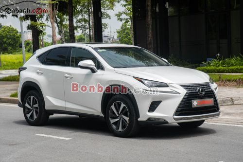 Lexus NX 300 2017 - ảnh 2