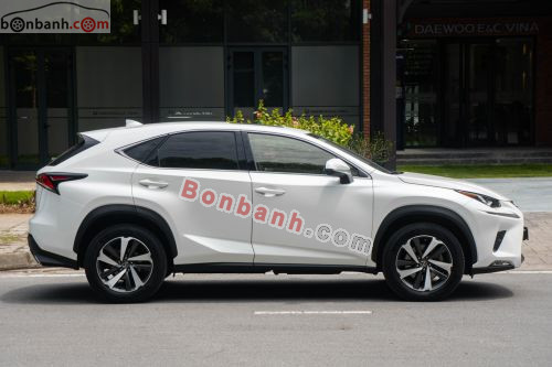 Lexus NX 300 2017 - ảnh 3