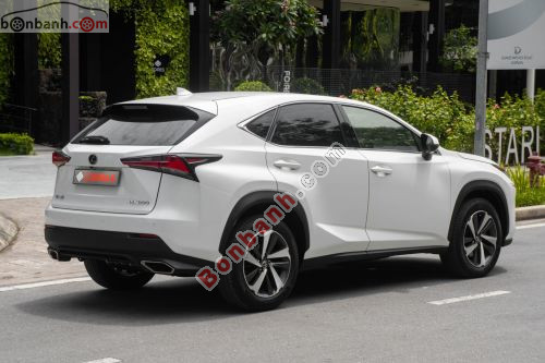 Lexus NX 300 2017 - ảnh 4