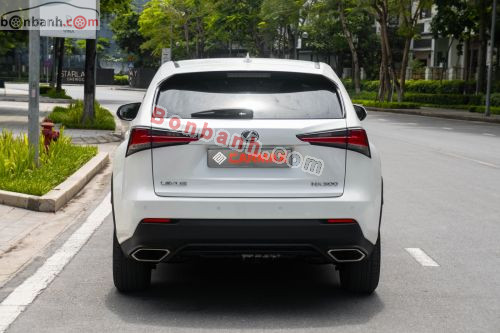 Lexus NX 300 2017 - ảnh 5