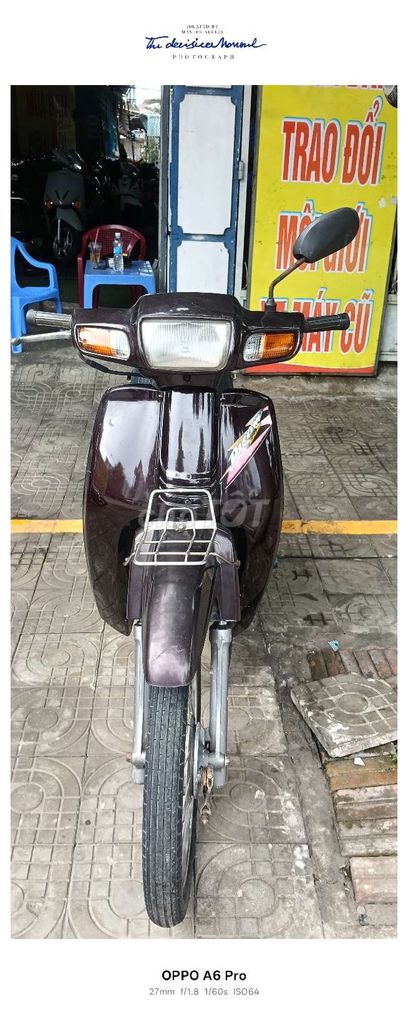 CẦN B 2010 - ảnh 2