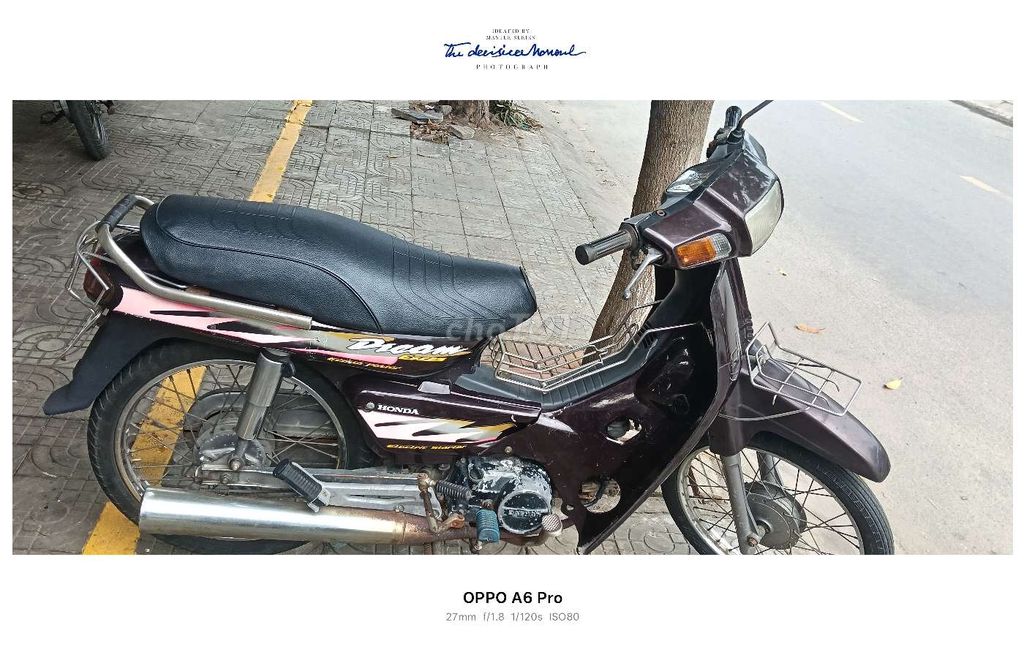 CẦN B 2010 - ảnh 3