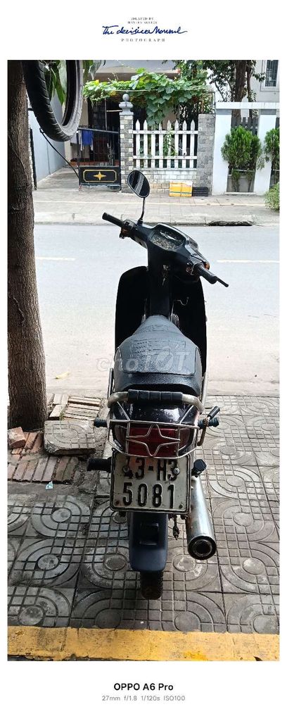 CẦN B 2010 - ảnh 4