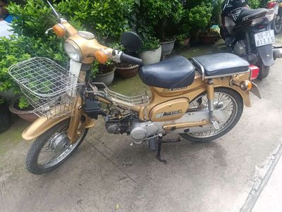 Honda Super 1981 - ảnh 1
