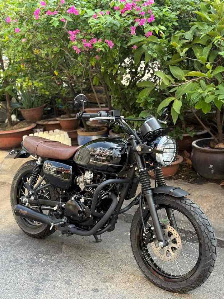 Kawasaki W 2024 - ảnh 1