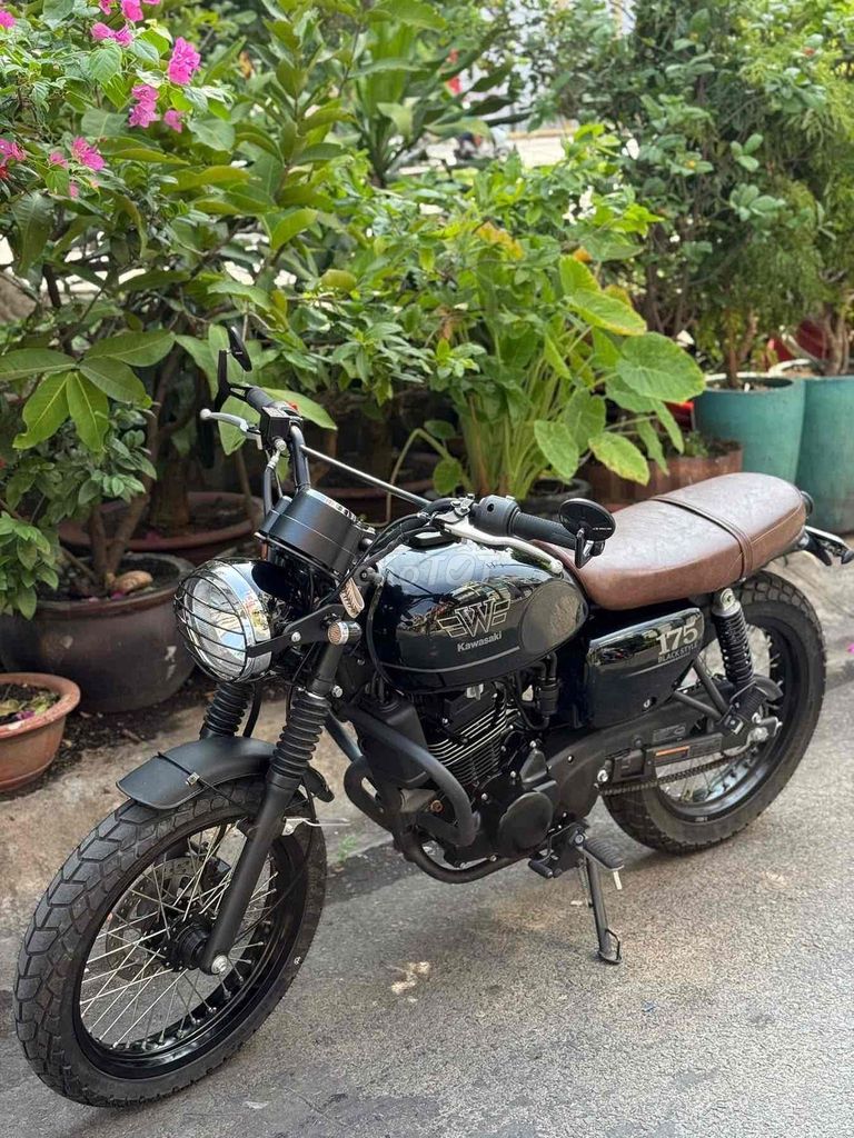 Kawasaki W 2024 - ảnh 4