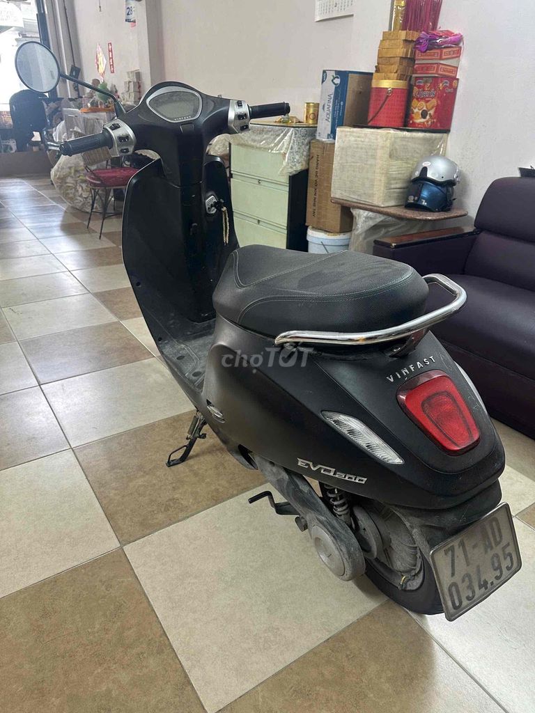Giấy t 2024 - ảnh 1