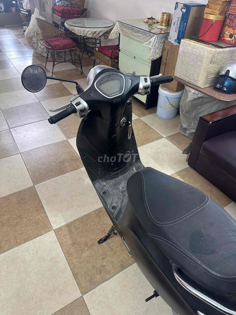 Giấy t 2024 - ảnh 2