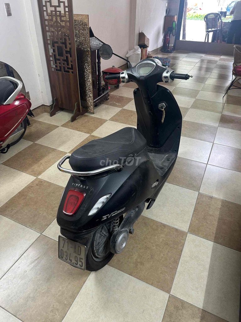 Giấy t 2024 - ảnh 3