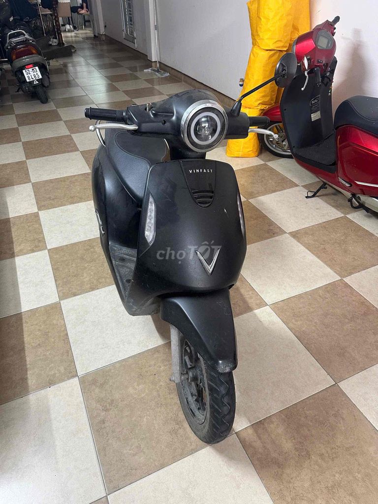 Giấy t 2024 - ảnh 4