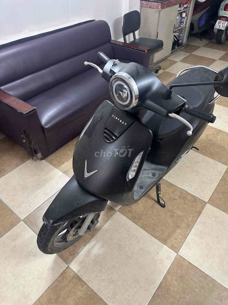 Giấy t 2024 - ảnh 5