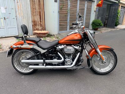 Harley Davidson 2019 - ảnh 1