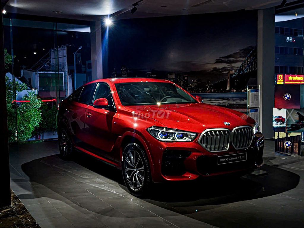 BMW X6 xDrive40i M Sport - ảnh 1