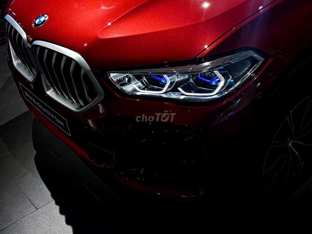 BMW X6 xDrive40i M Sport - ảnh 2
