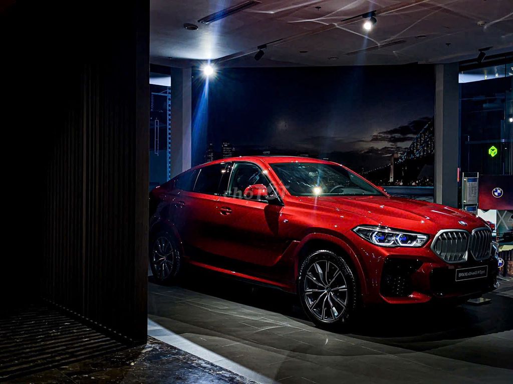 BMW X6 xDrive40i M Sport - ảnh 3