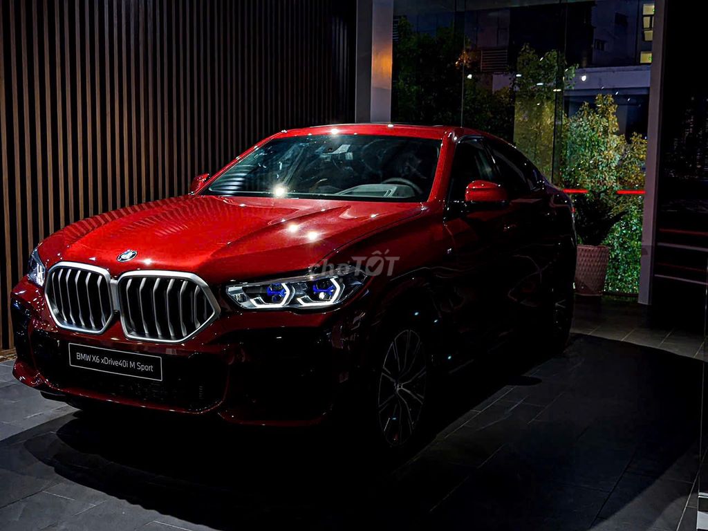 BMW X6 xDrive40i M Sport - ảnh 4