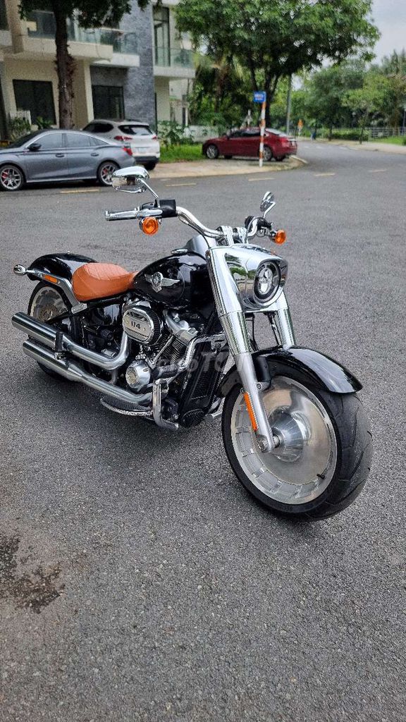 Harley 2020 - ảnh 1