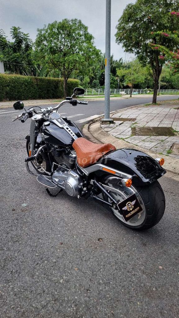 Harley 2020 - ảnh 3