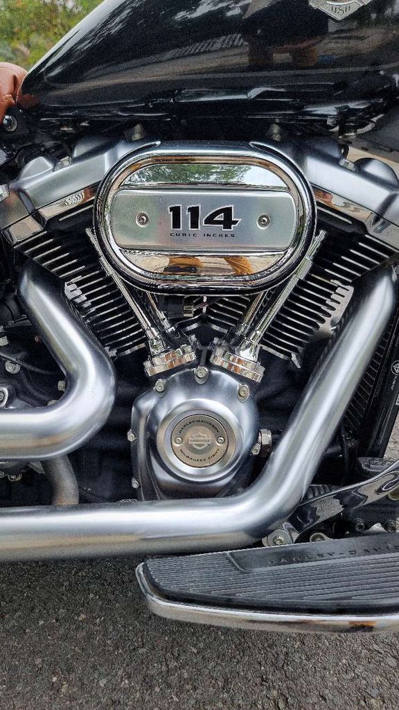 Harley 2020 - ảnh 4