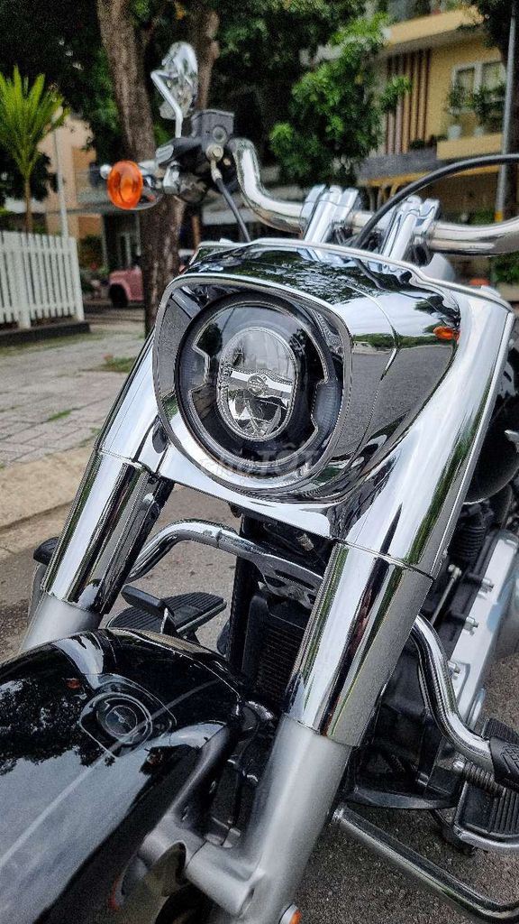 Harley 2020 - ảnh 5