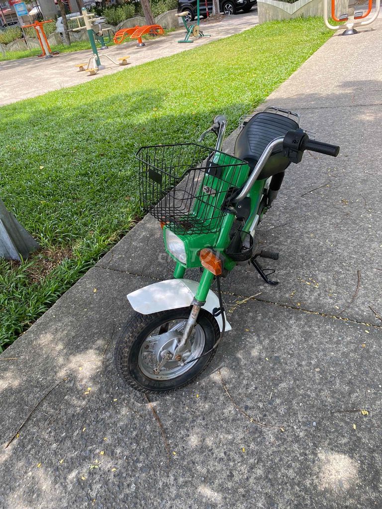 Honda Chaly 1995 - ảnh 2