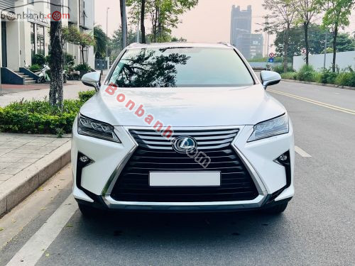 Lexus RX 300 2019 - ảnh 1