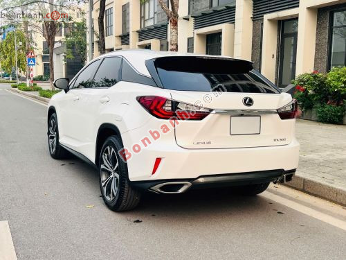 Lexus RX 300 2019 - ảnh 4